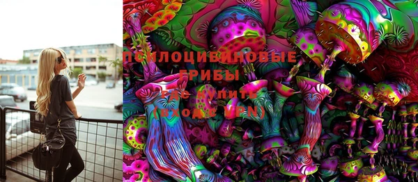 трава Бородино