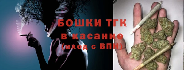 ECSTASY Покачи