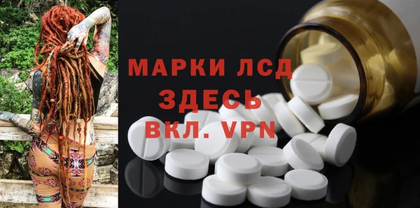 ECSTASY Покачи