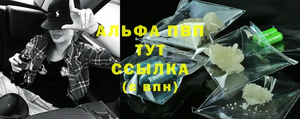 ECSTASY Покачи