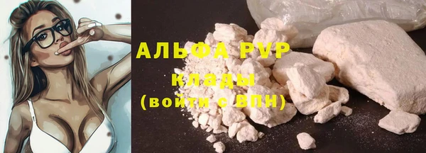 ECSTASY Покачи