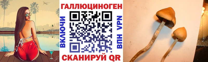 Псилоцибиновые грибы Magic Shrooms  купить  цена  Красноуральск 